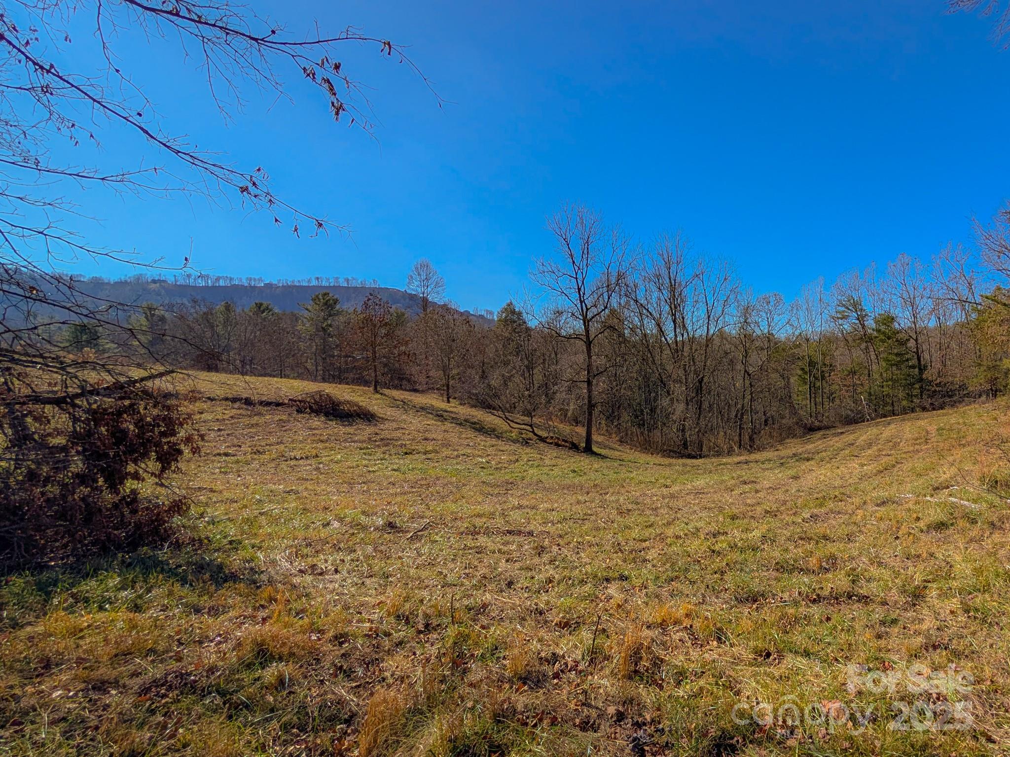 0 Bluff Cove Road Weaverville, NC 28787 - Photo 2 of 40