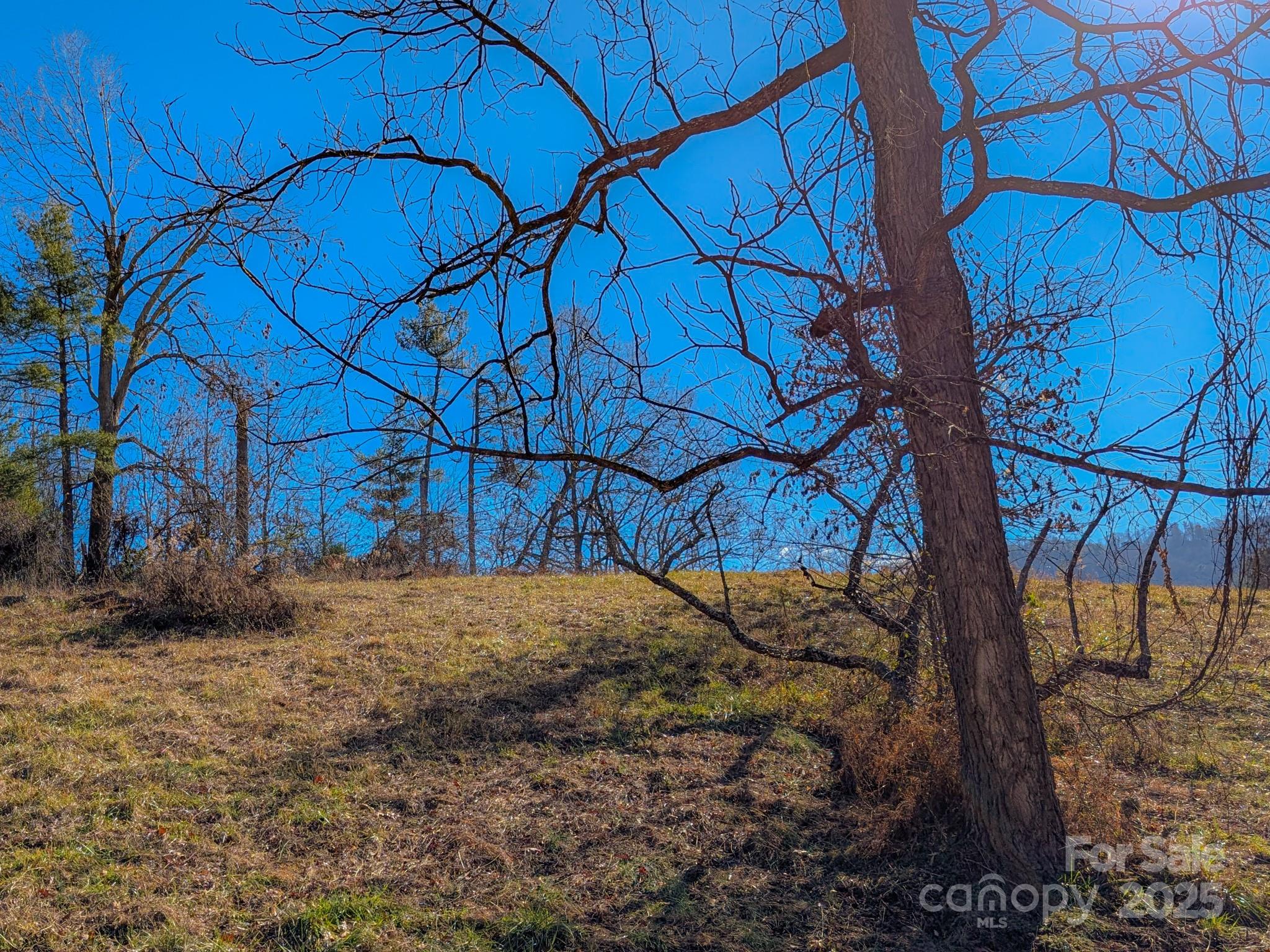 0 Bluff Cove Road Weaverville, NC 28787 - Photo 21 of 40