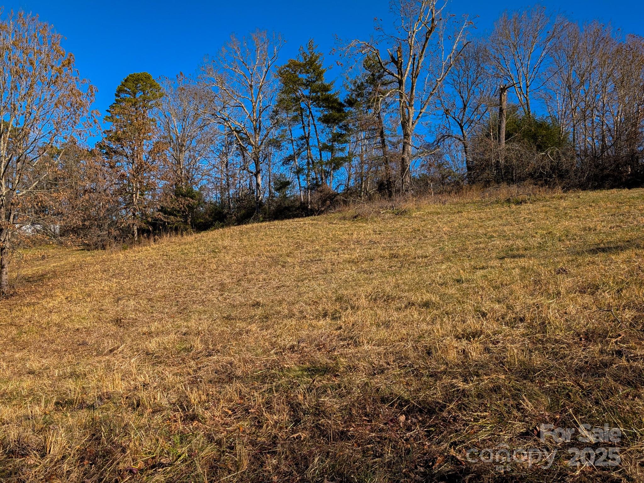 0 Bluff Cove Road Weaverville, NC 28787 - Photo 27 of 40