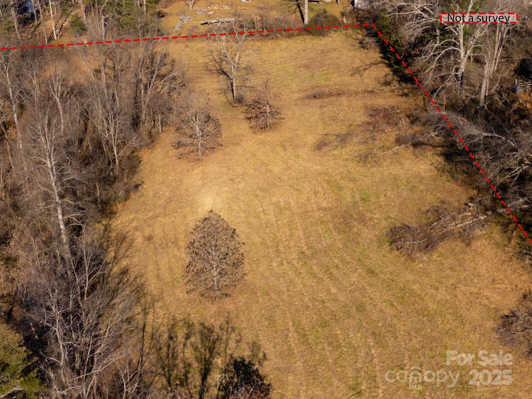 0 Bluff Cove Road Weaverville, NC 28787 - Photo 29 of 40