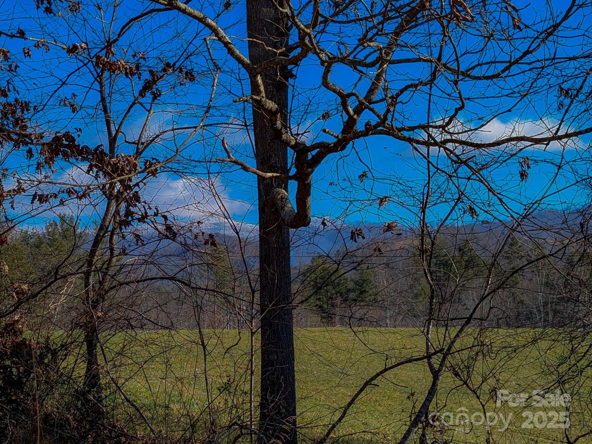 0 Bluff Cove Road Weaverville, NC 28787 - Photo 3 of 40