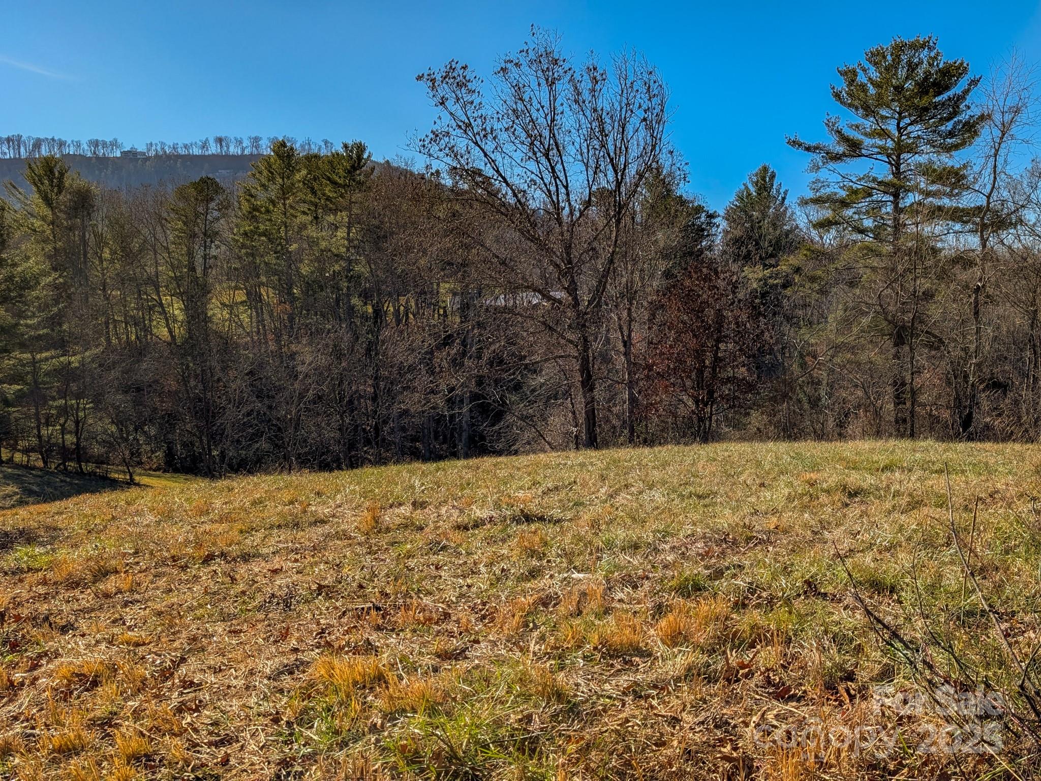 0 Bluff Cove Road Weaverville, NC 28787 - Photo 31 of 40