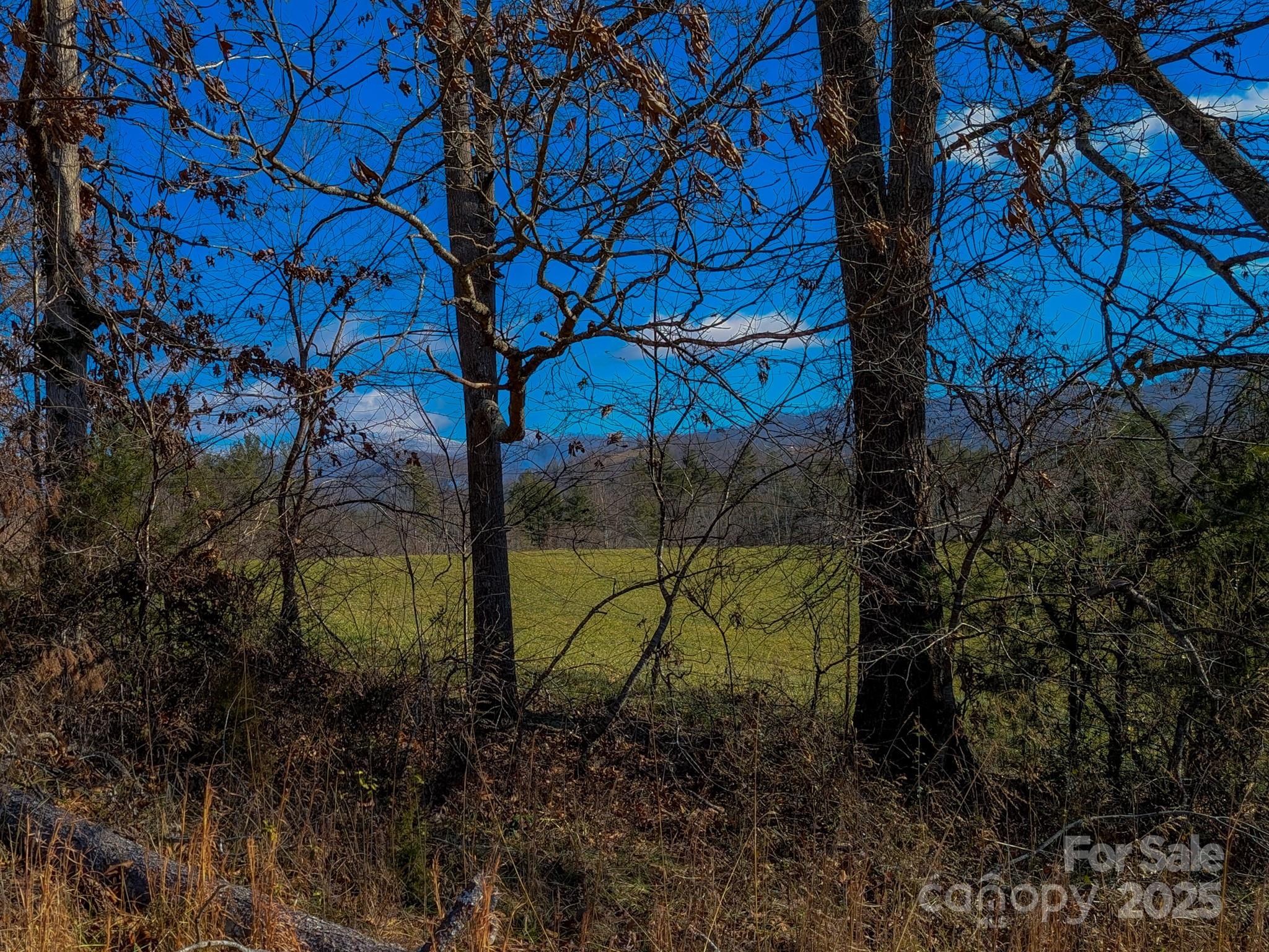 0 Bluff Cove Road Weaverville, NC 28787 - Photo 34 of 40