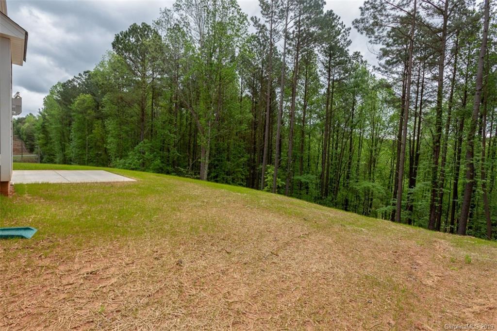 7019 Buckland Road Charlotte, NC 28278 - Photo 8 of 35 Gallery Image 8
