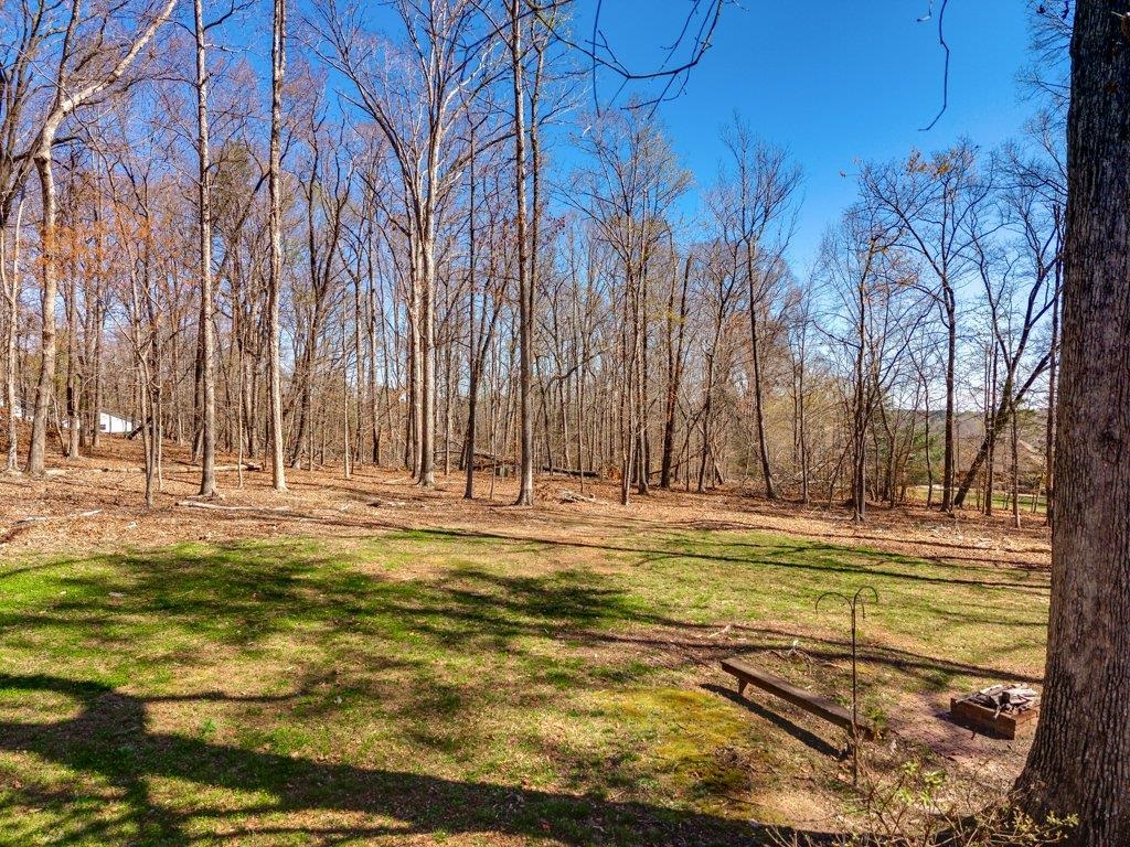 315 Earles Fort Road Landrum, SC 29356 - Photo 39 of 50