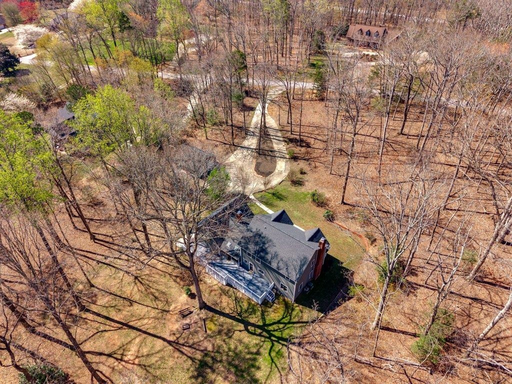 315 Earles Fort Road Landrum, SC 29356 - Photo 45 of 50