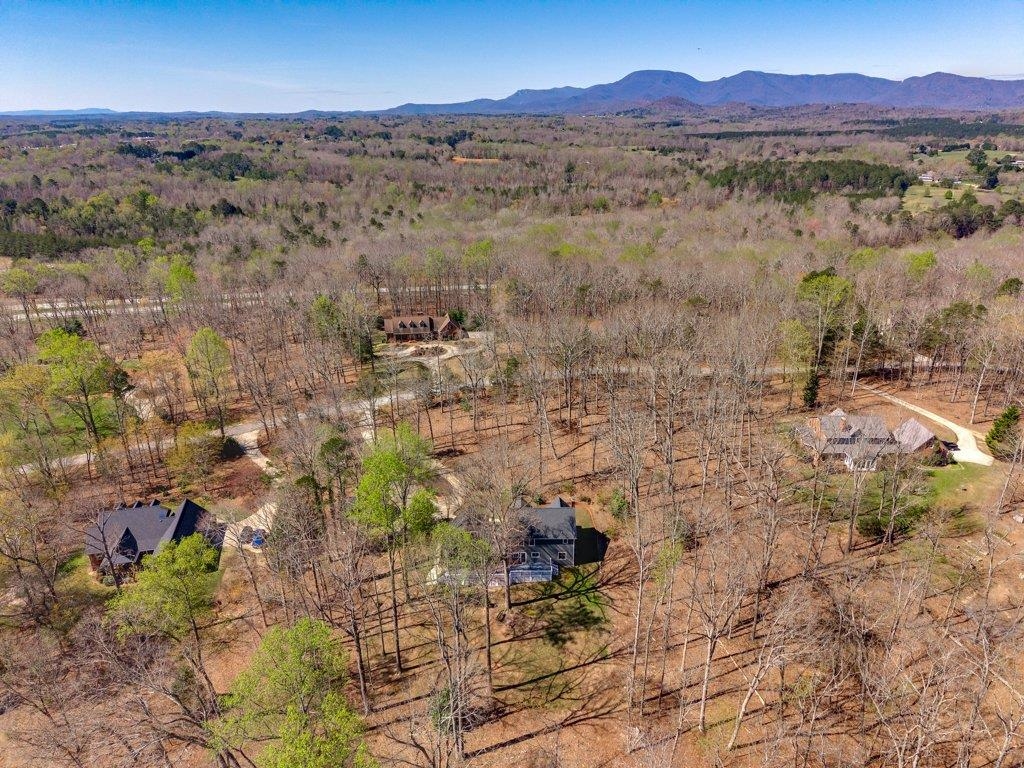 315 Earles Fort Road Landrum, SC 29356 - Photo 48 of 50
