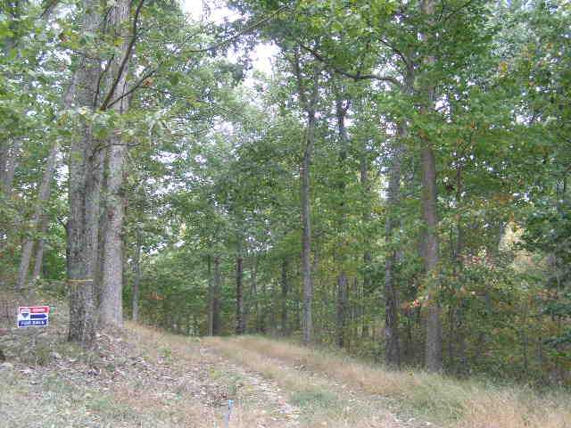 2038 Timber Crest Road Nashville, IN 47448 - Photo 1 of 1 Gallery Image 1