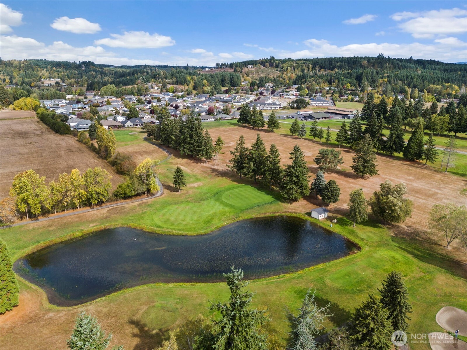 112 Village Way Drive Chehalis, WA 98532 - Photo 39 of 40 an aerial view of residential houses with outdoor space