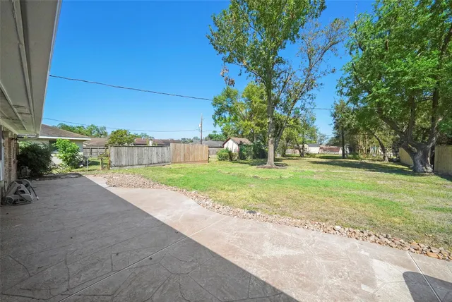 a view of a park with plants and trees
