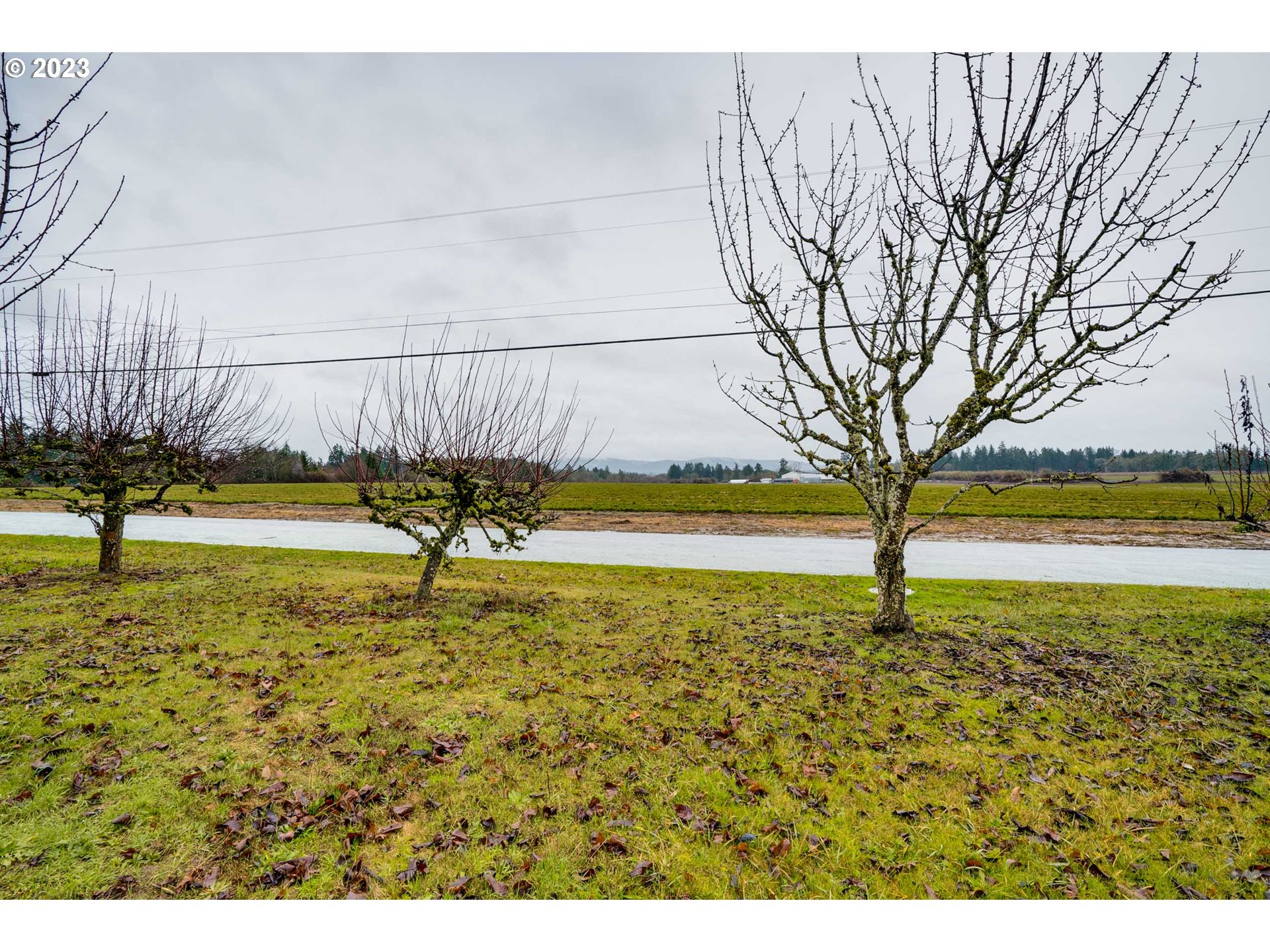 360 Southeast Edwards Drive Dundee, OR 97115 - Photo 26 of 31 a view of a yard with an outdoor space