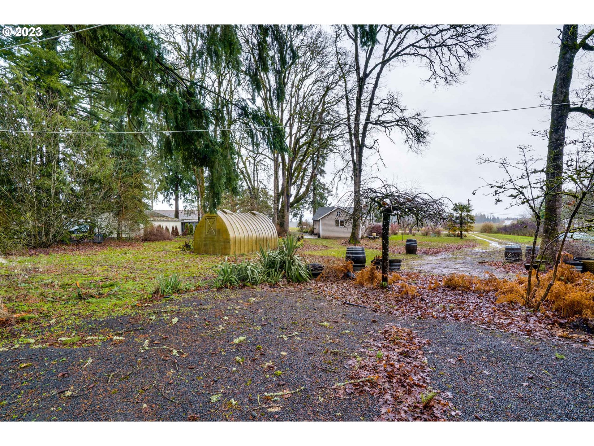360 Southeast Edwards Drive Dundee, OR 97115 - Photo 27 of 31 a view of a yard with a tree