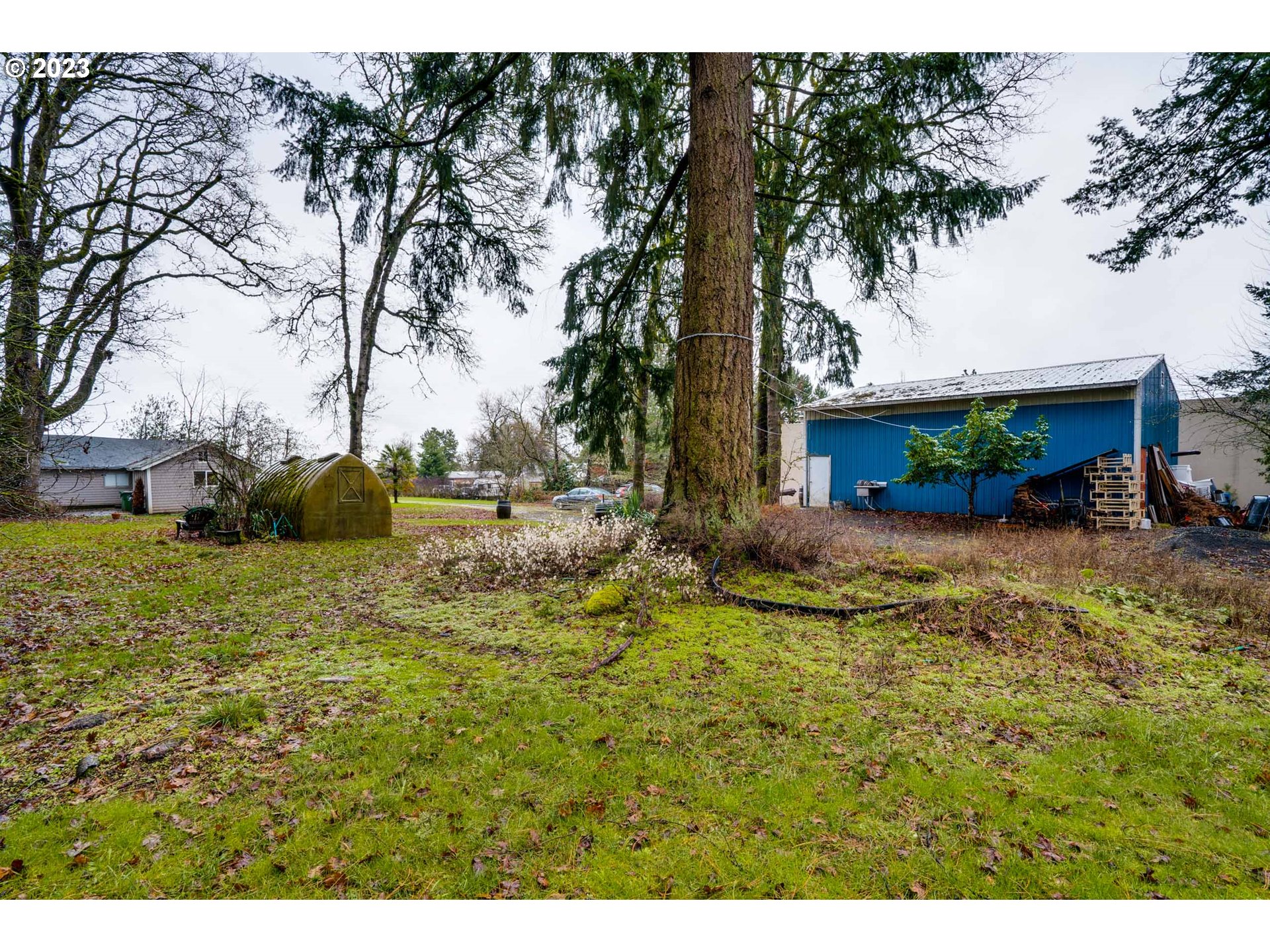 360 Southeast Edwards Drive Dundee, OR 97115 - Photo 29 of 31 a view of a garden with an tree