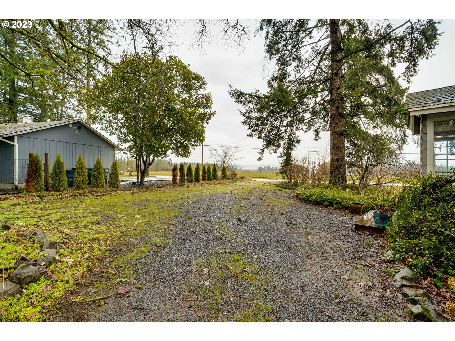 360 Southeast Edwards Drive Dundee, OR 97115 - Photo 4 of 31 a view of a house with backyard and tree
