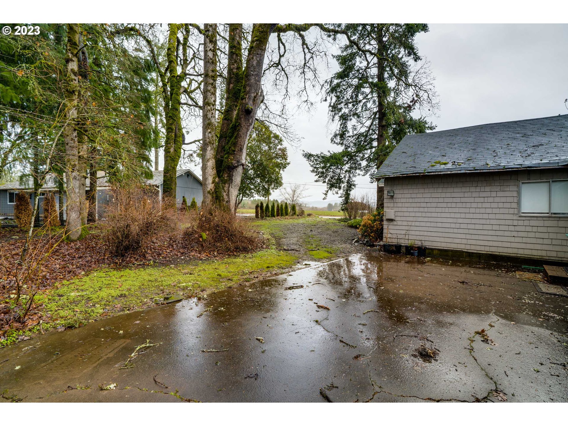 360 Southeast Edwards Drive Dundee, OR 97115 - Photo 5 of 31 a view of a backyard of the house