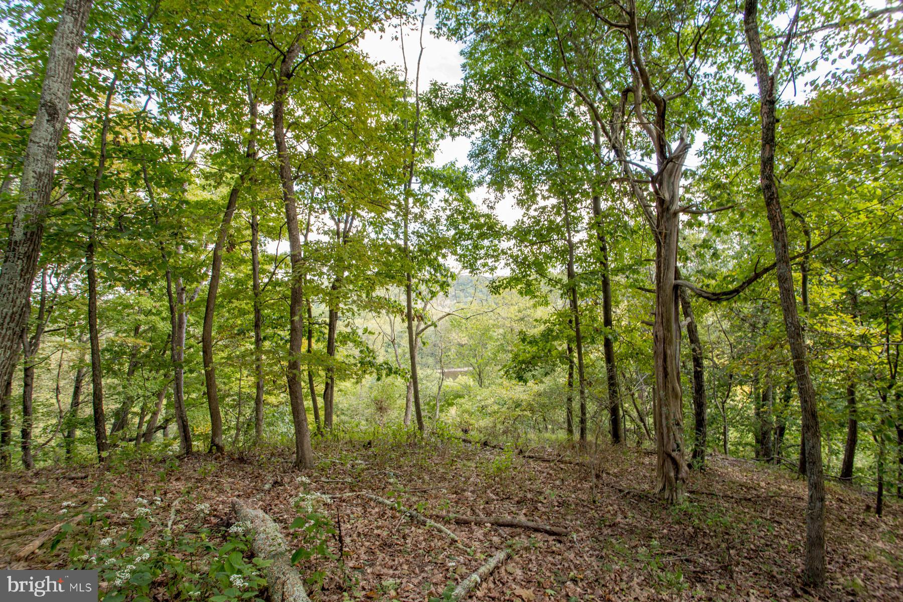 21 Stagecoach Road Pipersville, PA 18947 - Photo 78 of 91