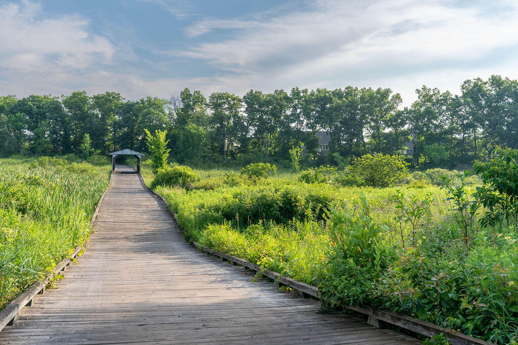 14323 Bridgeview Pointe Vicksburg, MI 49097 - Photo 29 of 34 AC - Long View of covered bridge and pat