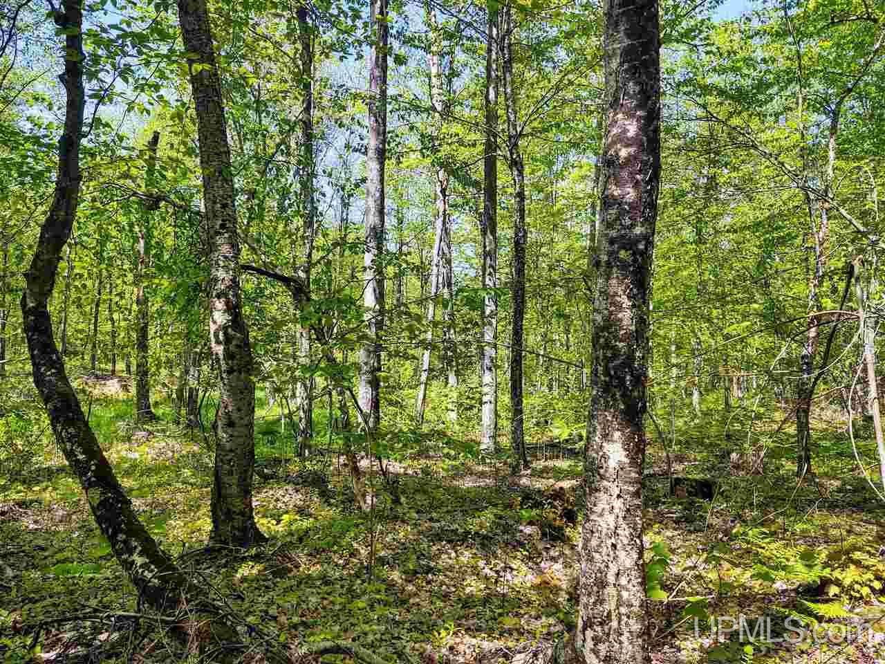 Tbd-parcel Point Abbaye Road Lanse, MI 49946 - Photo 18 of 25