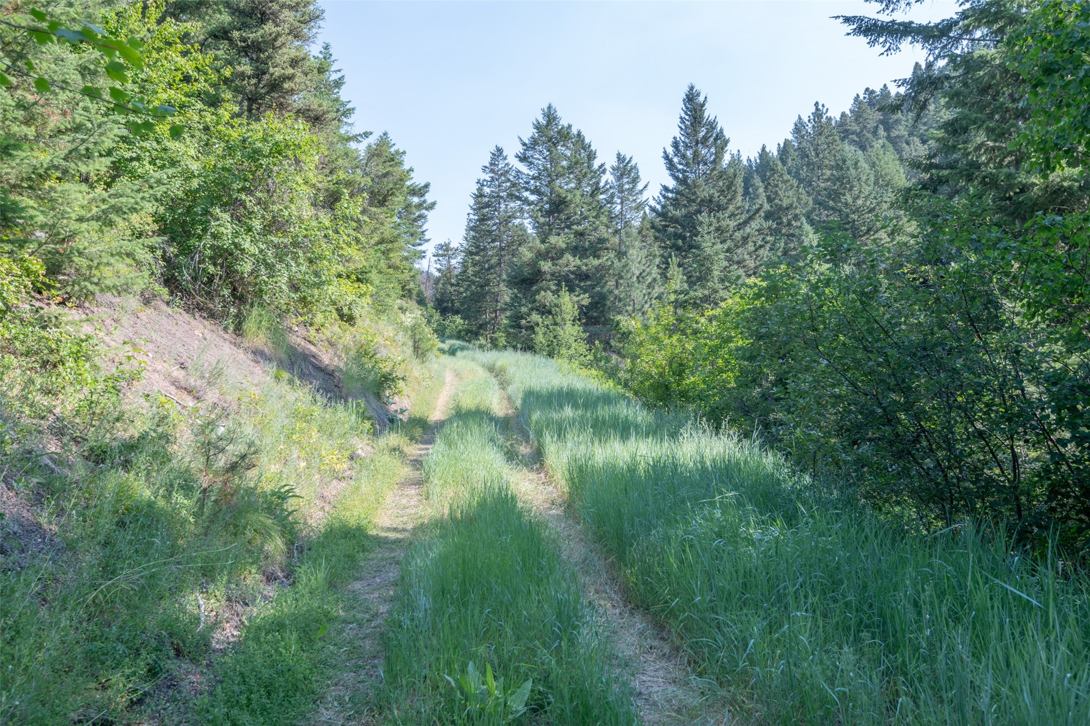 18866 Copper Rdg Trail Florence, MT 59833 - Photo 111 of 139 Gallery Image 111
