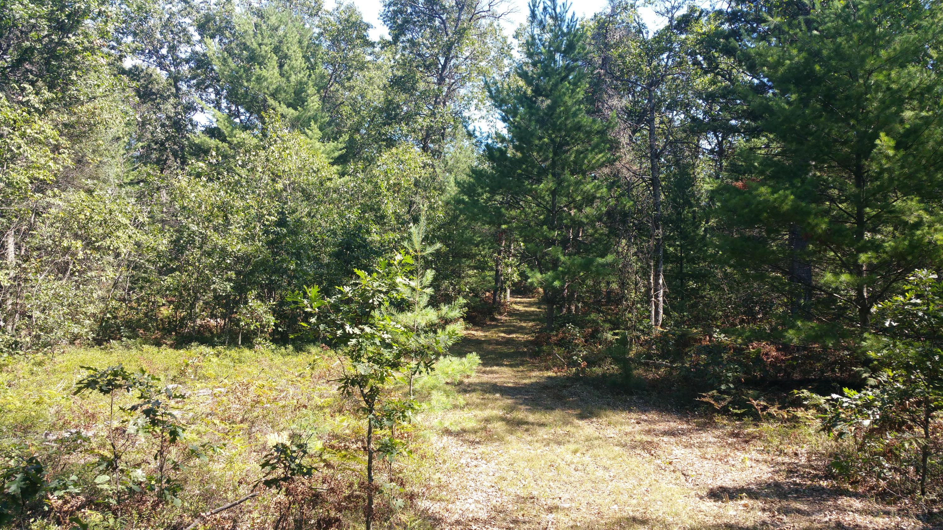 7013 West Doctors Club Road Curran, MI 48728 - Photo 13 of 46 Gallery Image 13
