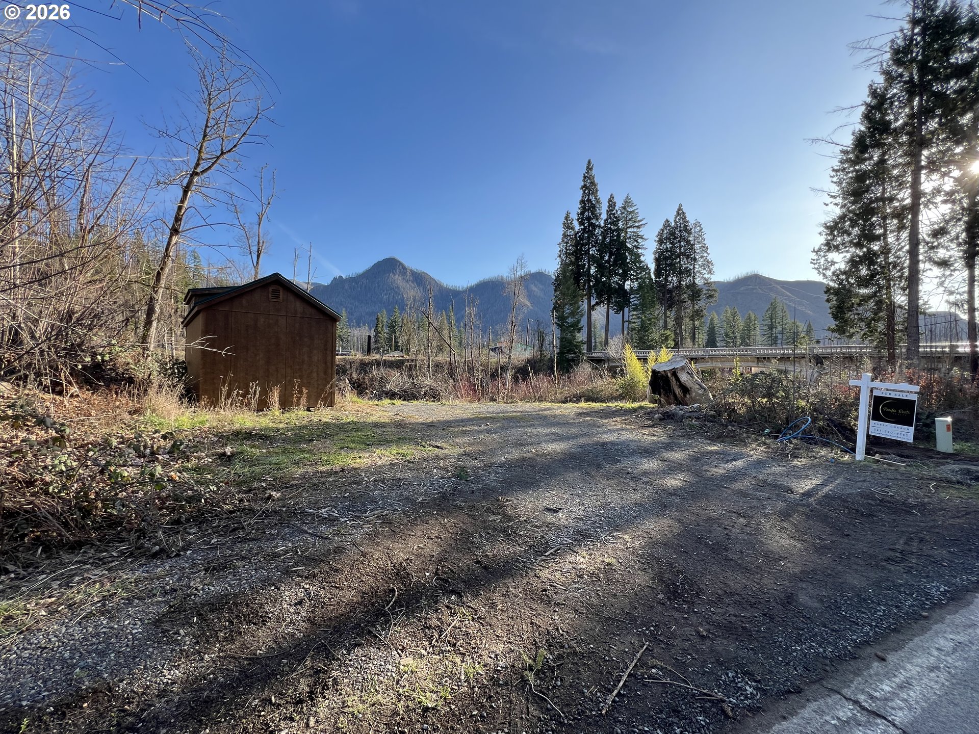 a view of dirt yard with a large tree