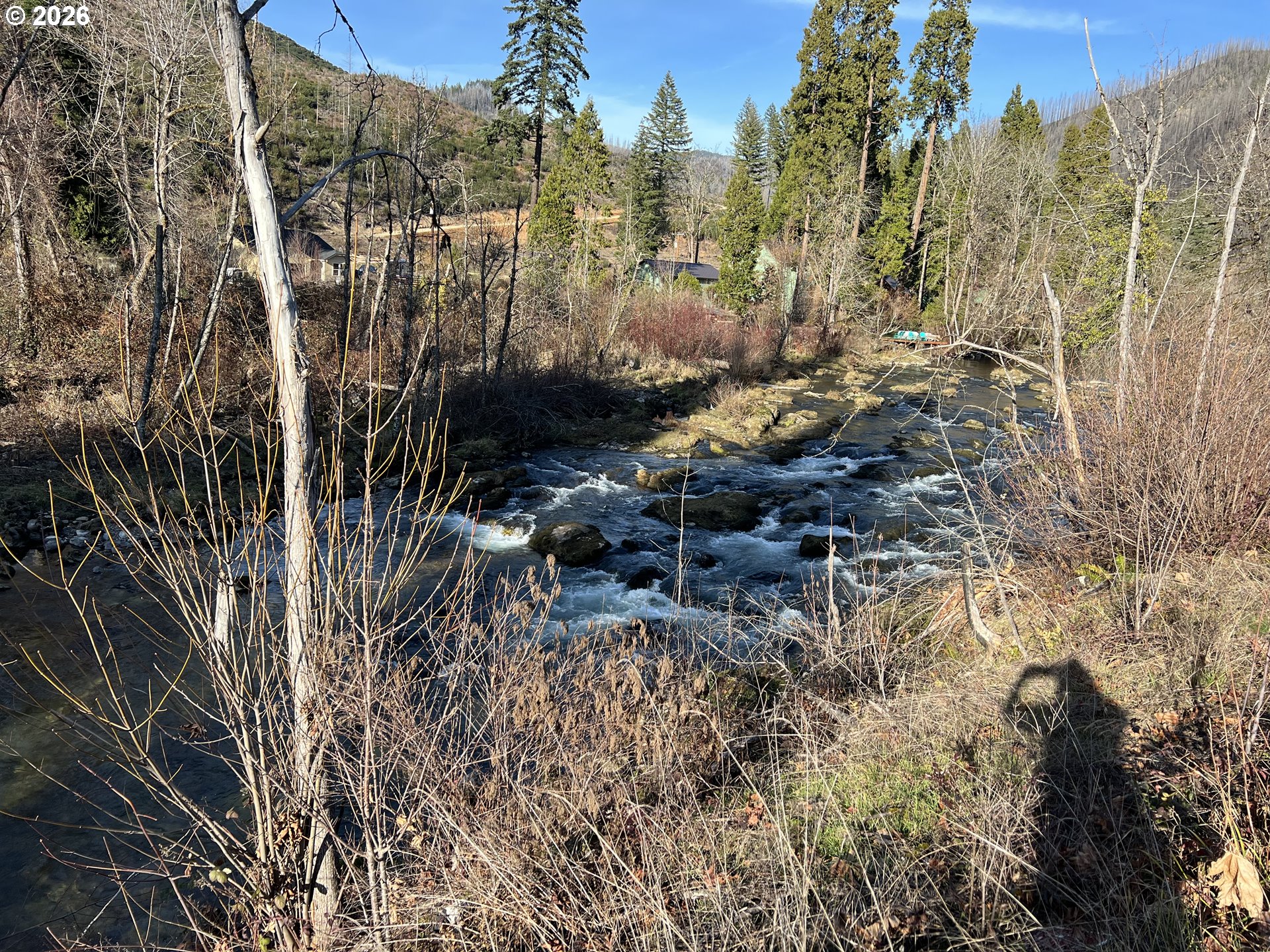 91241 Blue River Road Blue River, OR 97413 - Photo 11 of 12 a view of outdoor space with lots of trees