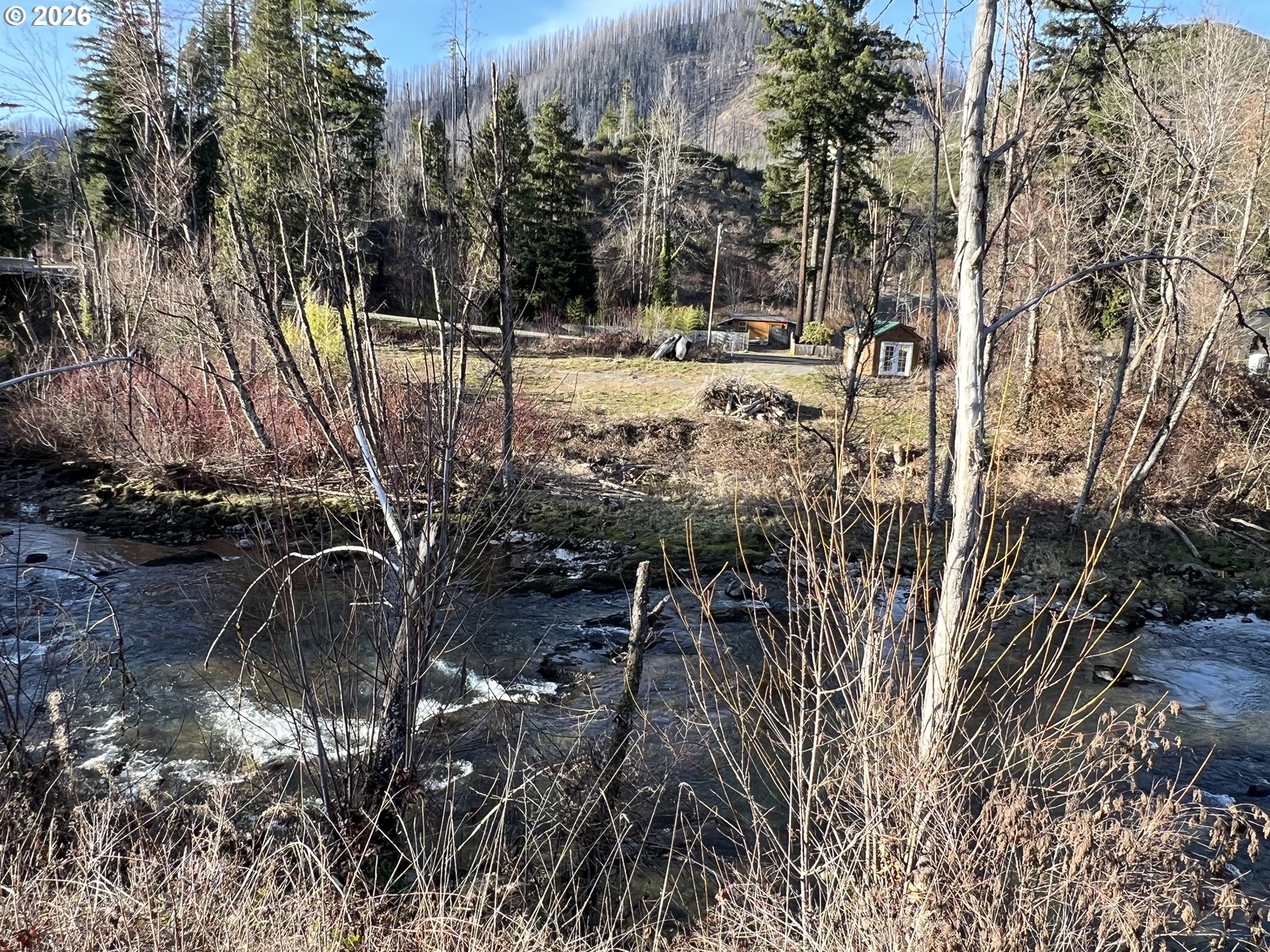 91241 Blue River Road Blue River, OR 97413 - Photo 2 of 12 a view of a yard with plants and trees