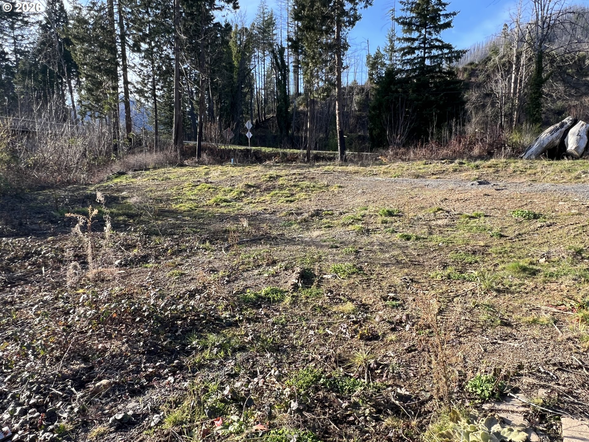 91241 Blue River Road Blue River, OR 97413 - Photo 3 of 12 a view of a yard with trees
