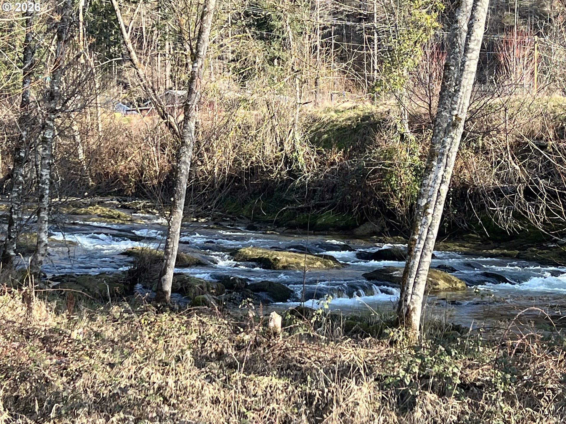 91241 Blue River Road Blue River, OR 97413 - Photo 6 of 12 a backyard of water with lots of tall trees