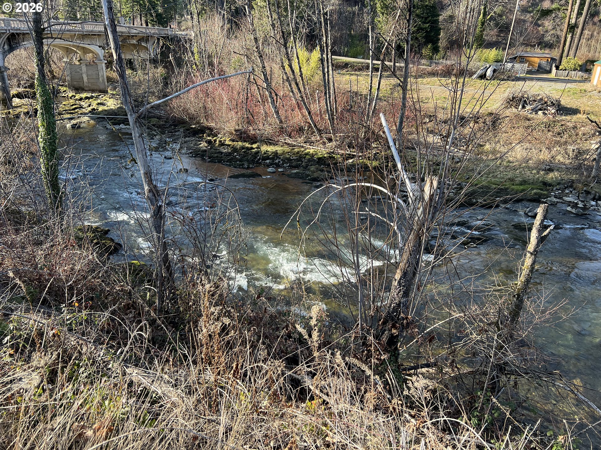 91241 Blue River Road Blue River, OR 97413 - Photo 8 of 12 a view of a lake with large trees