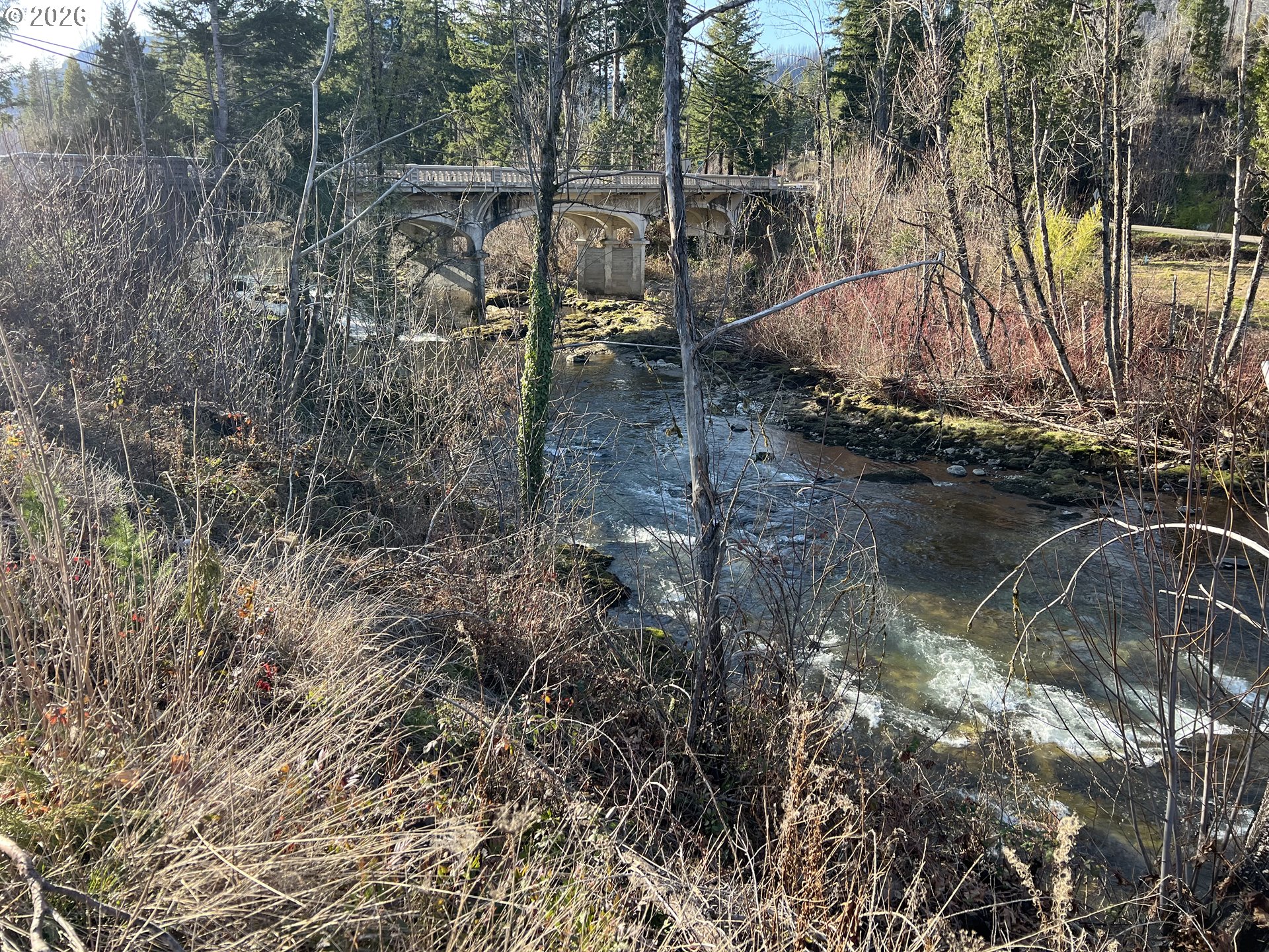 91241 Blue River Road Blue River, OR 97413 - Photo 9 of 12 a view of a backyard of the house