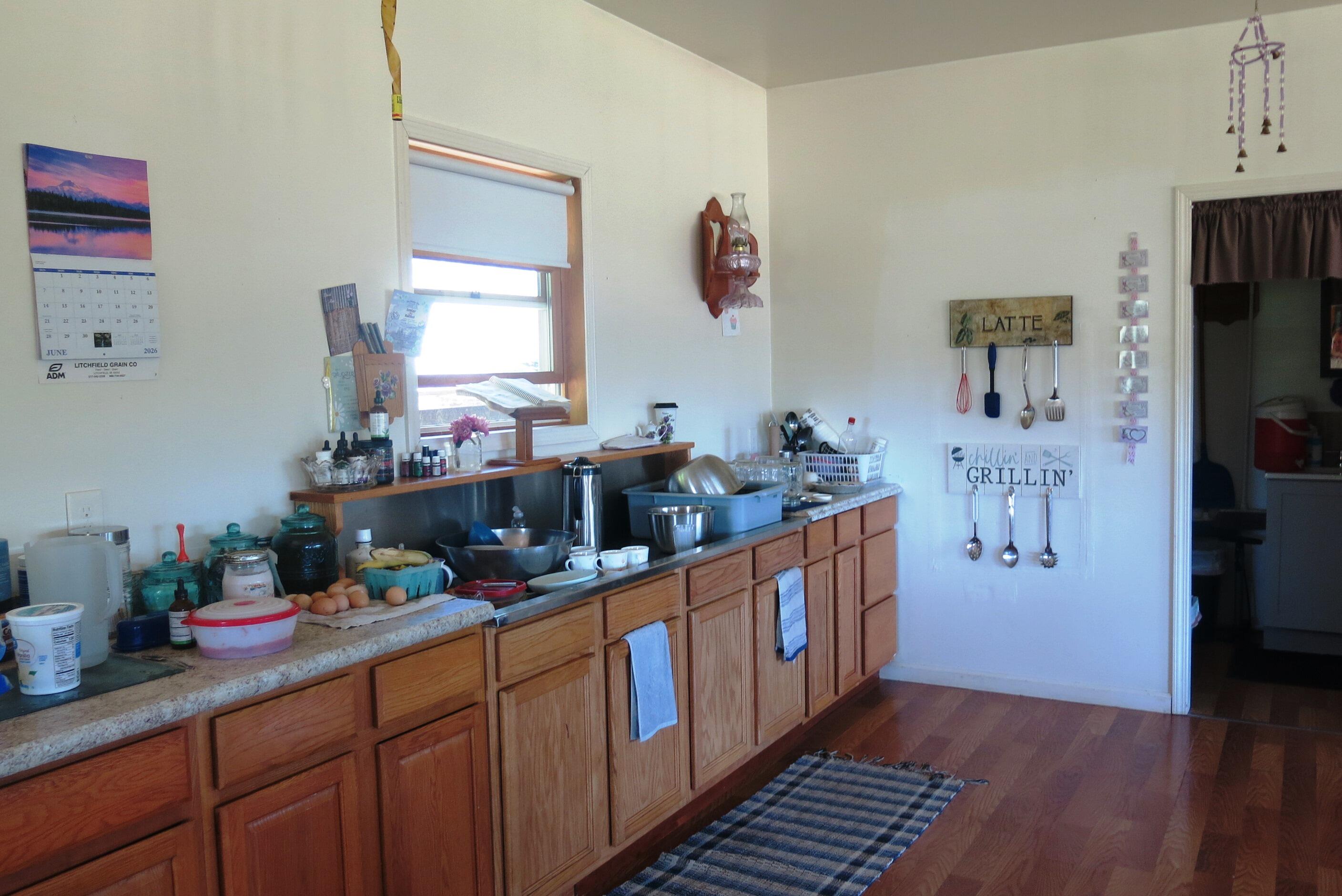 1024 23 Mile Road Homer, MI 49245 - Photo 11 of 44 IMG_0477
