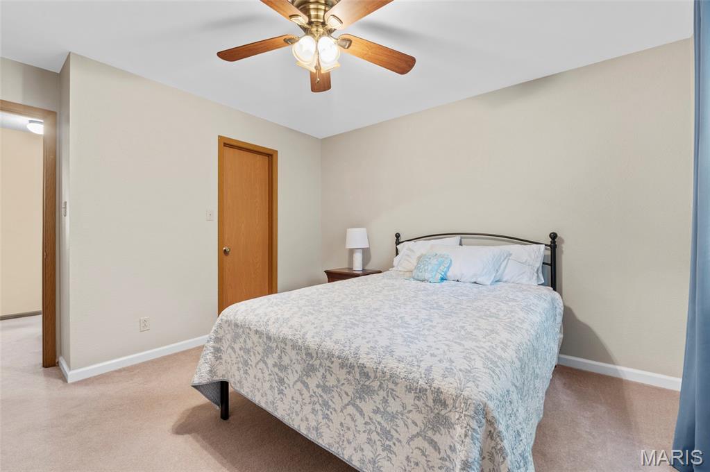 710 Cheshire Road Troy, IL 62294 - Photo 20 of 42
