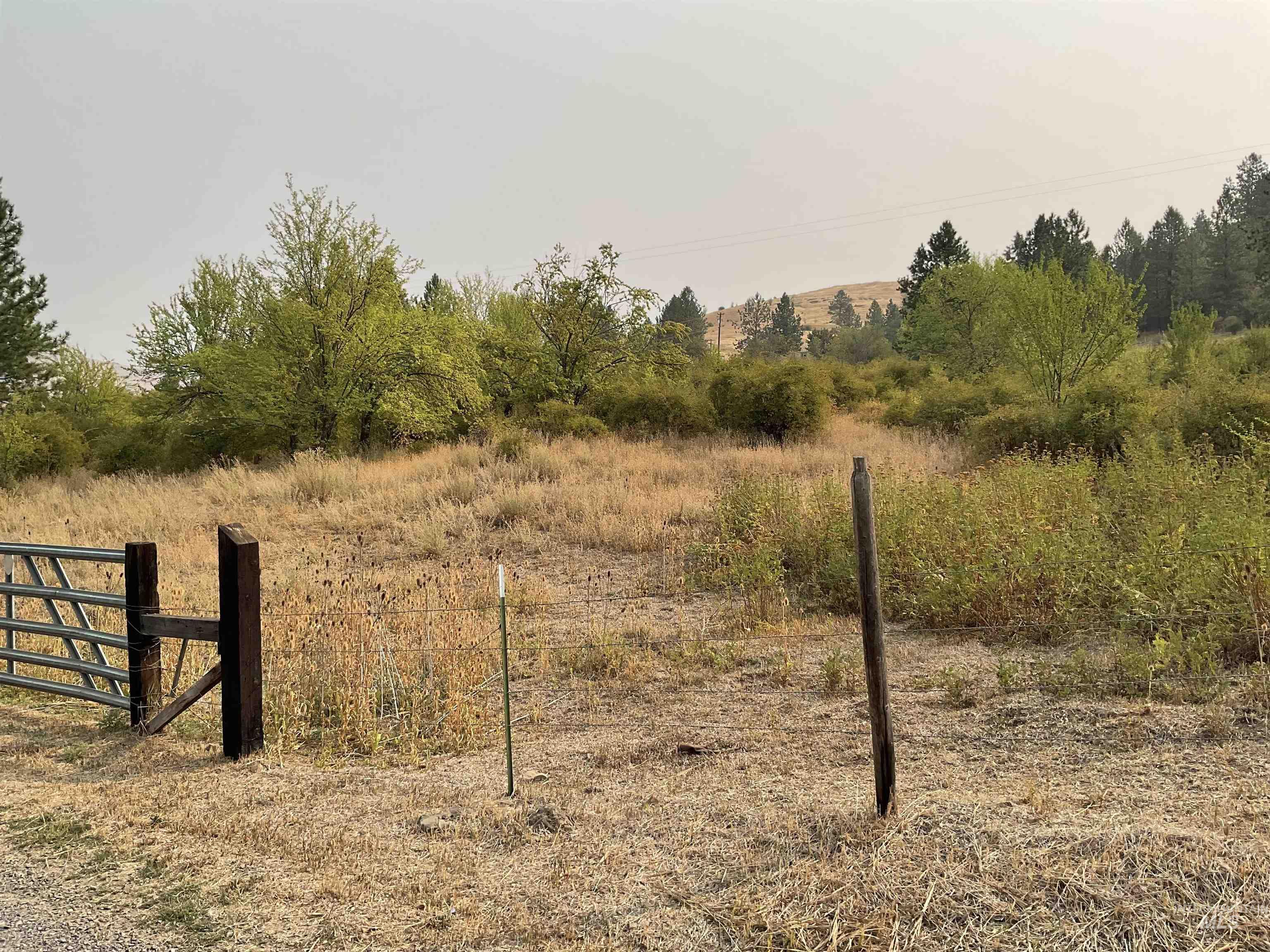 13790 Cross Farm Road Juliaetta, ID 83535 - Photo 21 of 22 View of yard with a rural view and view of wooded area