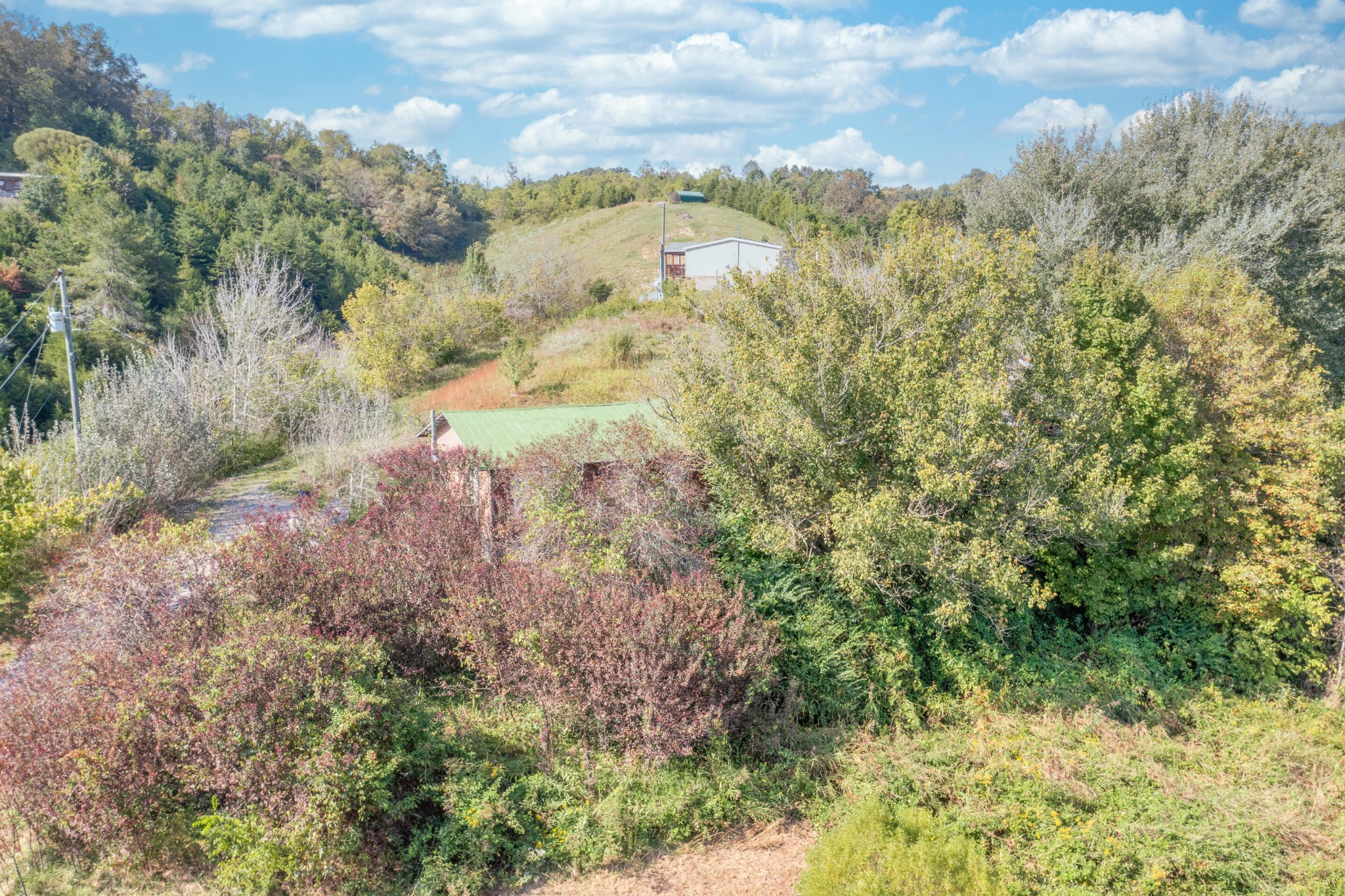 236 Old Zion Hill Road Seymour, TN 37865 - Photo 24 of 25 Gallery Image 24
