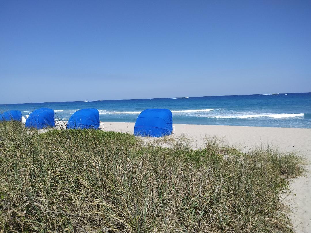 2780 South Ocean Boulevard, Unit 207 Palm Beach, FL 33480 - Photo 2 of 8 a view of outside space and a yard