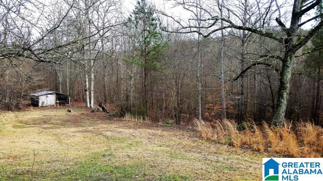 5489 Highway 9 Heflin, AL 36264 - Photo 48 of 50