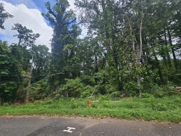 a view of a forest with a street