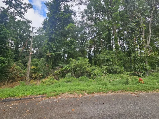 a view of a yard with plants and trees