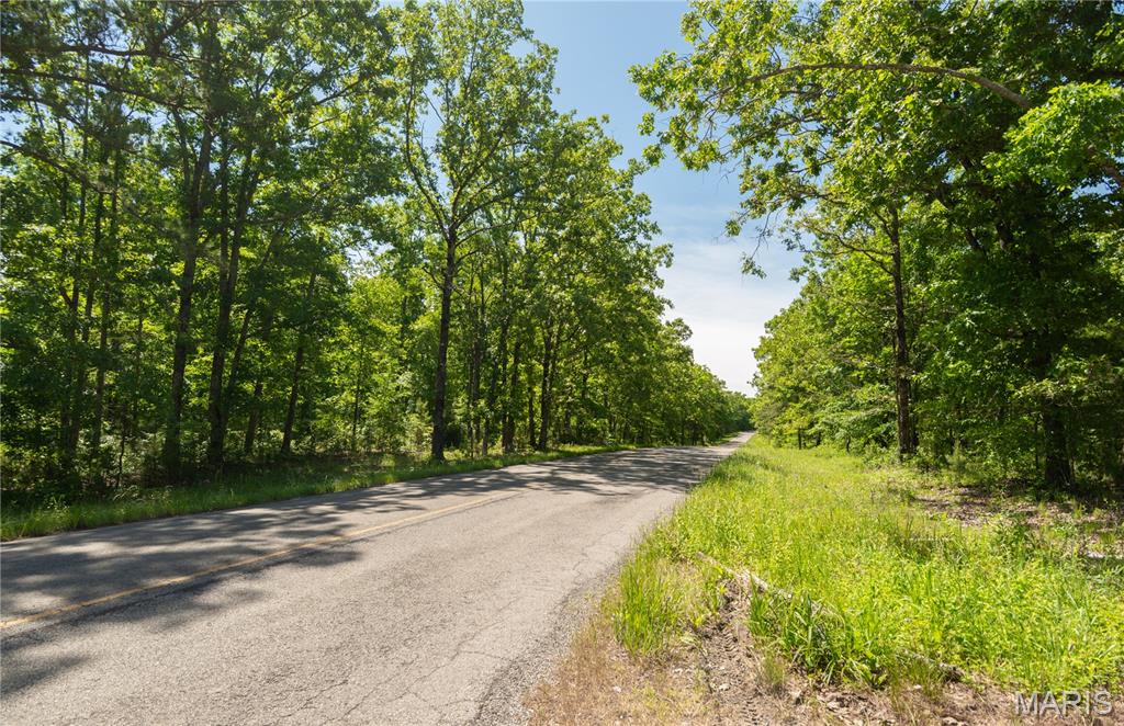 1743 Ripley Route North Doniphan, MO 63935 - Photo 91 of 97