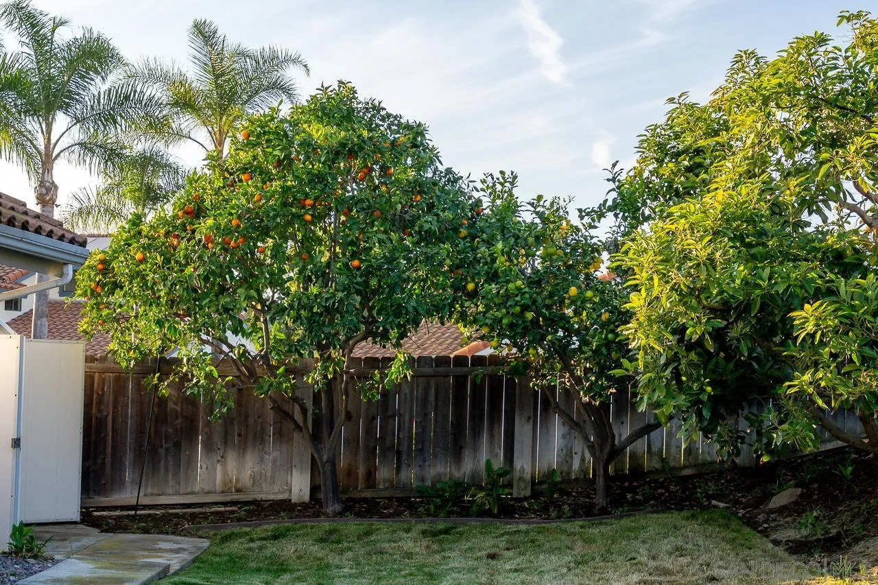 1018 Bridle Path Way Oceanside, CA 92057 - Photo 41 of 51