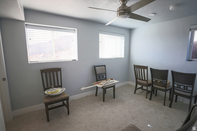 422 West Buckeye Reef Road Leeds, UT 84746 - Photo 28 of 47 Bedroom featuring light colored carpet, a textured ceiling, a ceiling fan, and healthy amount of natural light