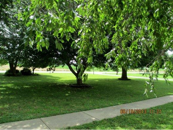 702 Roxboro Street Haw River, NC 27258 - Photo 16 of 24 Shaded Front Yard
