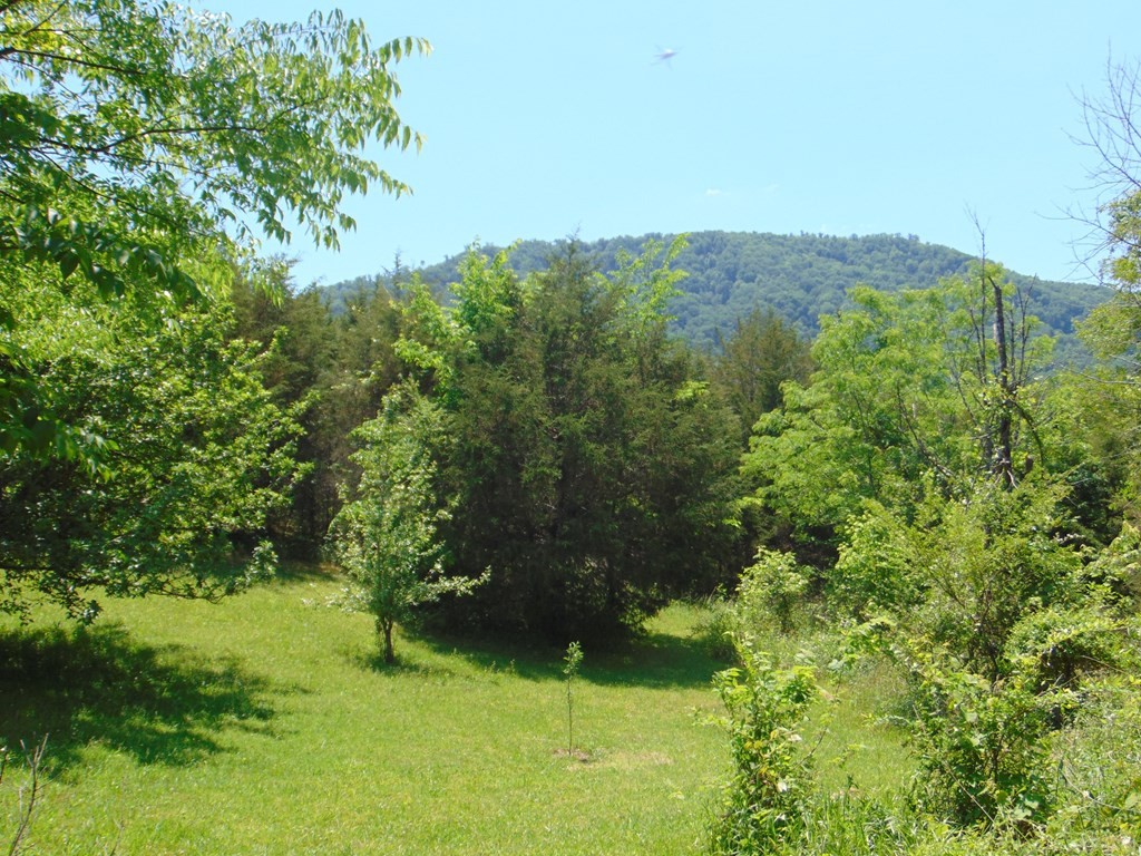 468 Co Road Englewood, TN 37329 - Photo 8 of 33