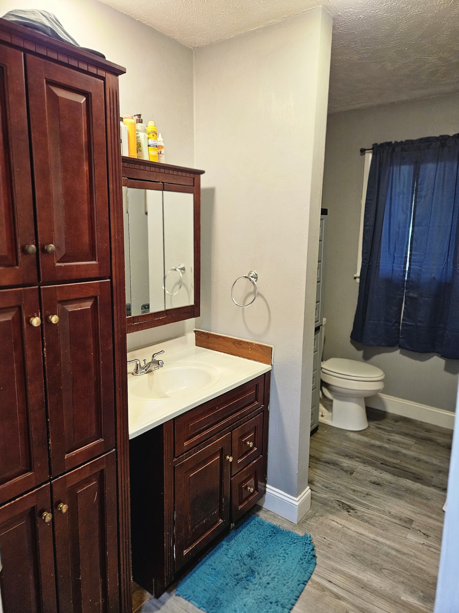 189 Sunset View Estill Springs, TN 37330 - Photo 17 of 22 a bathroom with a granite countertop sink toilet and mirror