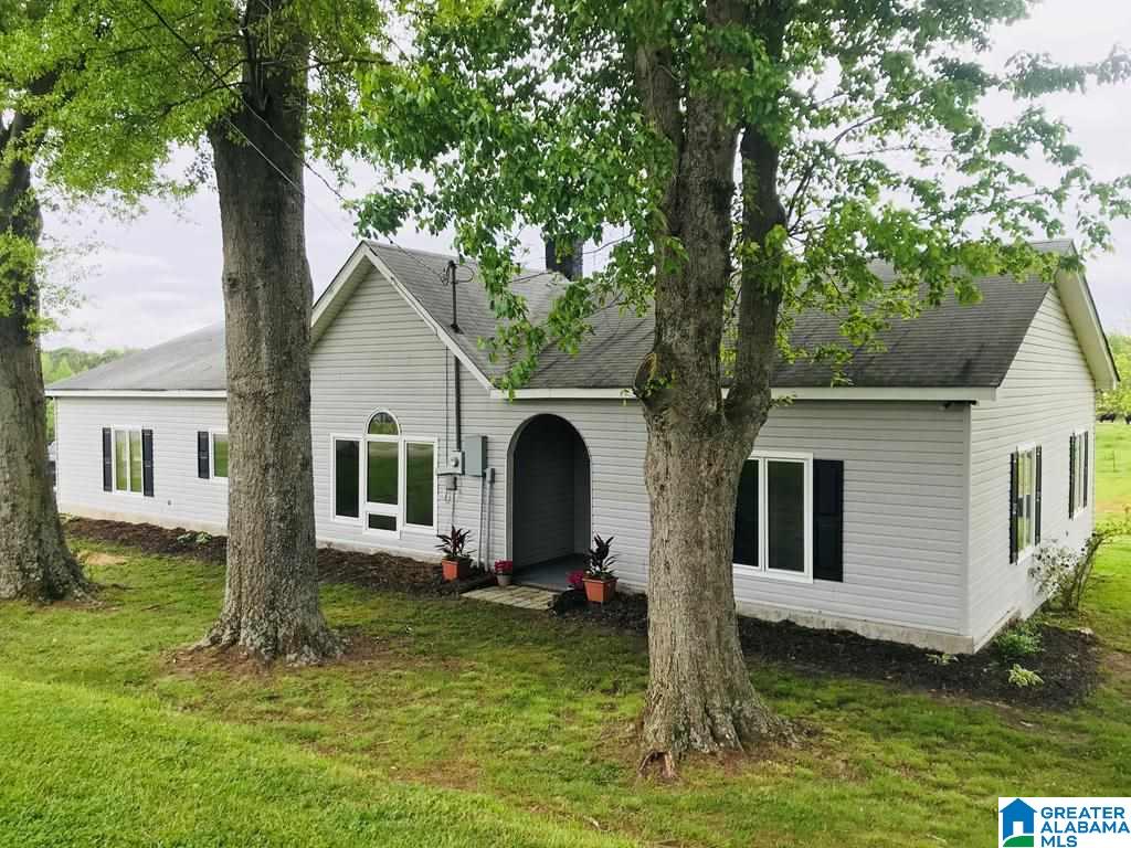 2070 County Road 28 Ranburne, AL 36273 - Photo 1 of 40