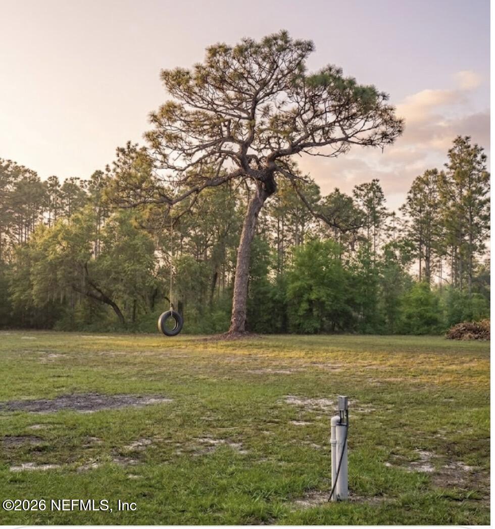 6204 County Road 352 Keystone Heights, FL 32656 - Photo 21 of 26 Back