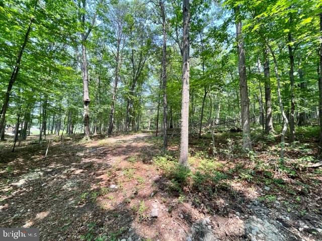 2016 Vaughn Summit Road Luray, VA 22835 - Photo 8 of 11 a view of forest