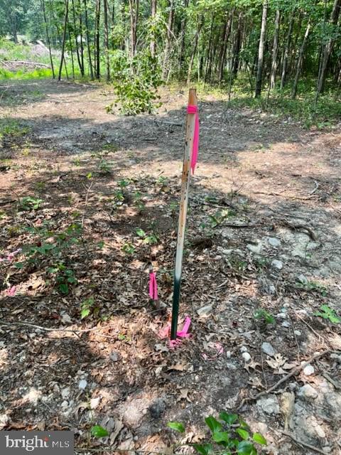 2016 Vaughn Summit Road Luray, VA 22835 - Photo 9 of 11 a front view of a house with a yard