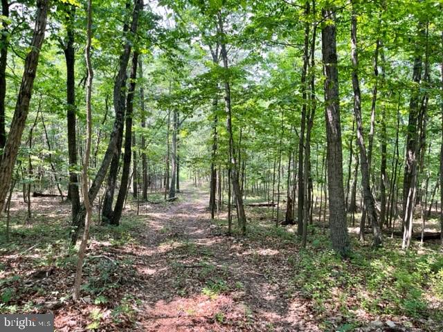 2016 Vaughn Summit Road Luray, VA 22835 - Photo 10 of 11 a view of outdoor space and green space